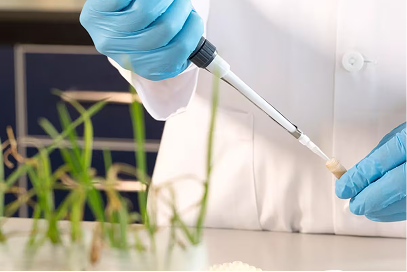 Clasificación de los aditivos en la alimentación animal