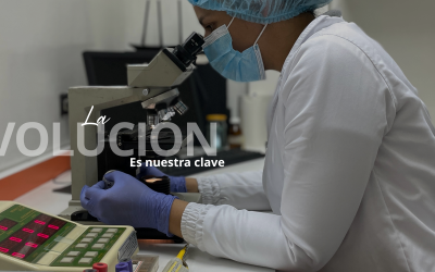 Enzimas y Aminoácidos para Aves y Cerdos: Estrategias de Rendimiento