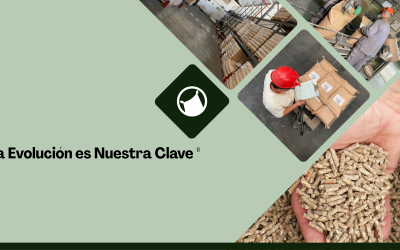 El impacto de las premezclas personalizadas en la rentabilidad de su planta