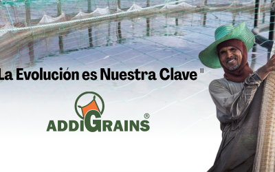 NutriciĂłn AcuĂcola de PrecisiĂłn: Claves para potenciar el rendimiento productivo
