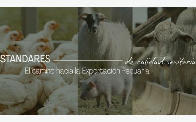 Estándares de Calidad Sanitaria: El Camino hacia la Exportación Pecuaria