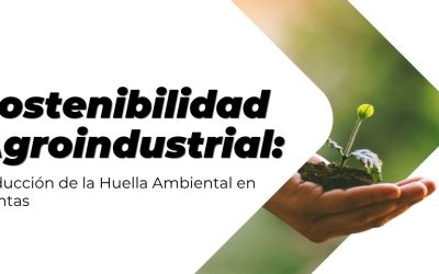 Sostenibilidad Agroindustrial: ReducciĂłn de la Huella Ambiental en Plantas