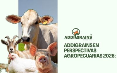 Addigrains en el Evento Perspectivas Agropecuarias 2026: Innovación y Rentabilidad para la Industria
